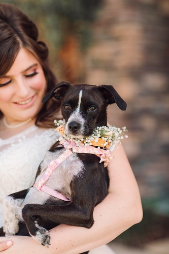 Display of the women, at a featured Triple S Ranch wedding.